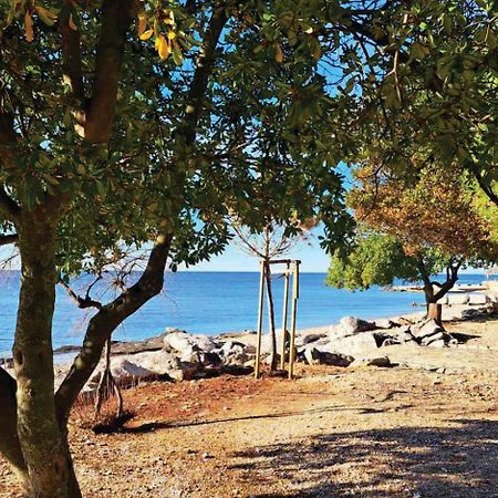 Apartment Istria Zambratija  Dış mekan fotoğraf