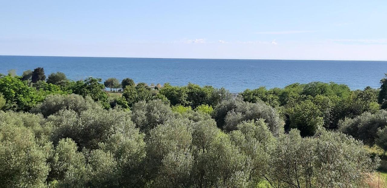 Apartment Istria Zambratija  Dış mekan fotoğraf